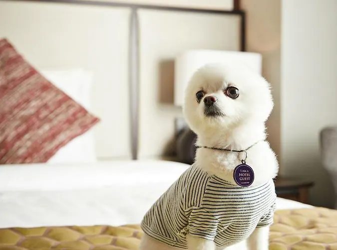 Grand Mercure Ambassador And Residences Yongsan Hotel